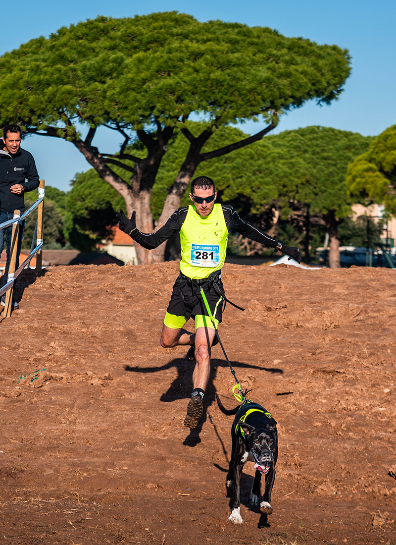 Canicross by Le Sportif Portail des évènements sportifs outdoor